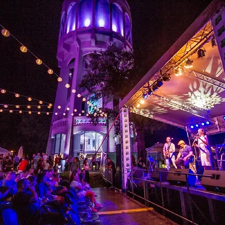 Evergreen Kardos Debrecen