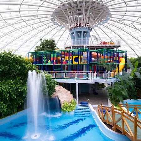 Evergreen Kardos Debrecen